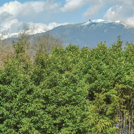 Two-bedroom In Di Bedero Brezzo